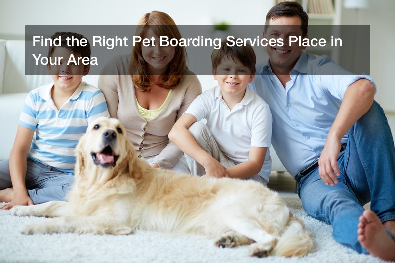Find the Right Pet Boarding Services Place in Your Area Juger Edelweiss