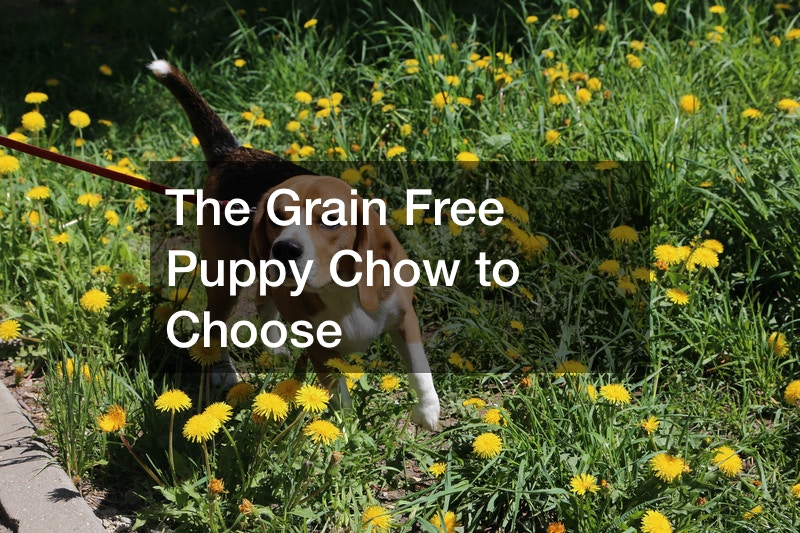 Grain Free Puppy Chow With Kiwi