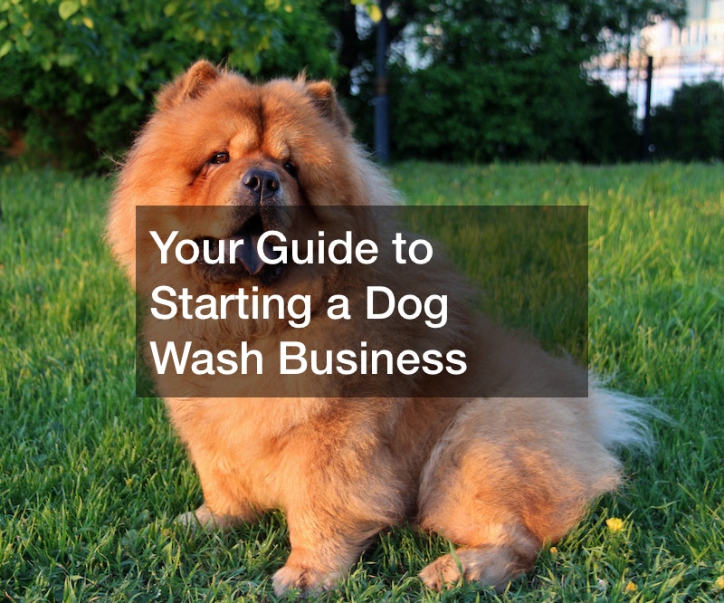 Your Guide to Starting a Dog Wash Business Juger Edelweiss